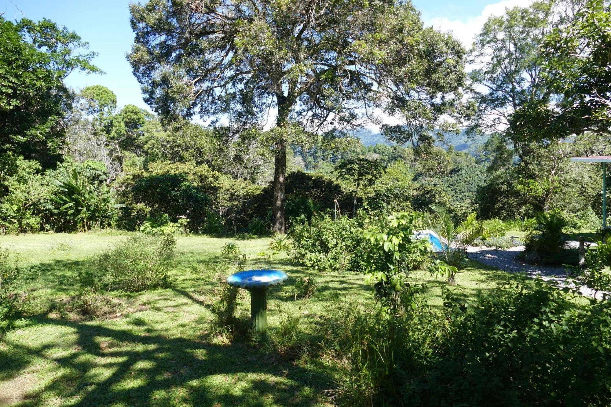 Casitas Vista Verde Bajo Boquete Ngoại thất bức ảnh
